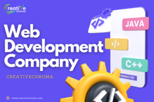 web development company in Zirakpur